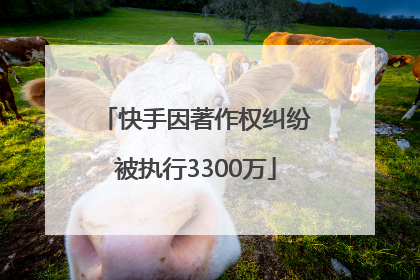 快手因著作权纠纷被执行3300万