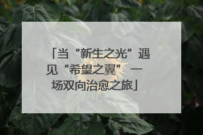 当“新生之光”遇见“希望之翼” 一场双向治愈之旅