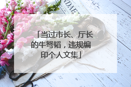 当过市长、厅长的牛弩韬，违规编印个人文集