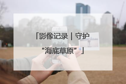 影像记录｜守护“海底草原”