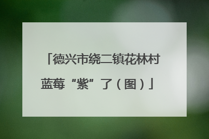 德兴市绕二镇花林村蓝莓“紫”了（图）
