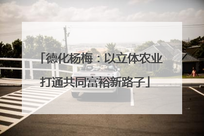 德化杨梅：以立体农业打通共同富裕新路子