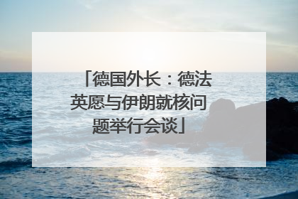 德国外长：德法英愿与伊朗就核问题举行会谈