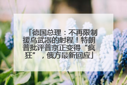 德国总理：不再限制援乌武器的射程！特朗普批评普京正变得“疯狂”，俄方最新回应