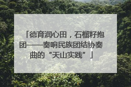 德育润心田，石榴籽抱团——奏响民族团结协奏曲的“天山实践”