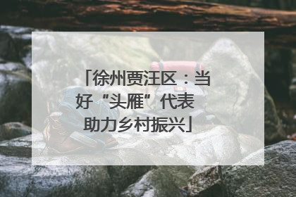 徐州贾汪区：当好“头雁”代表 助力乡村振兴
