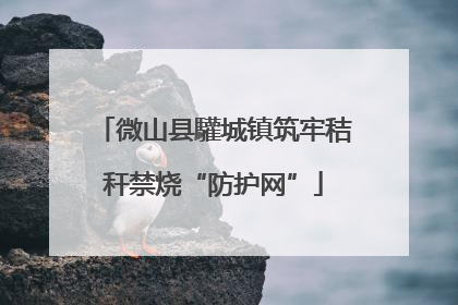 微山县驩城镇筑牢秸秆禁烧“防护网”