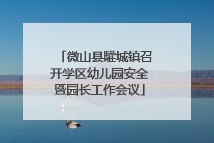 微山县驩城镇召开学区幼儿园安全暨园长工作会议