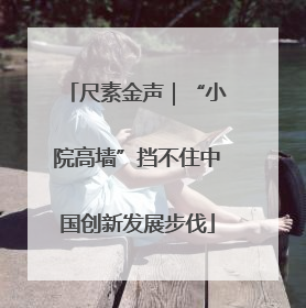 尺素金声｜“小院高墙”挡不住中国创新发展步伐