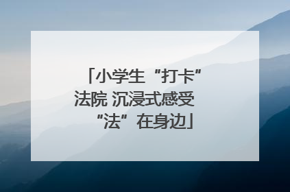 小学生“打卡”法院 沉浸式感受“法”在身边