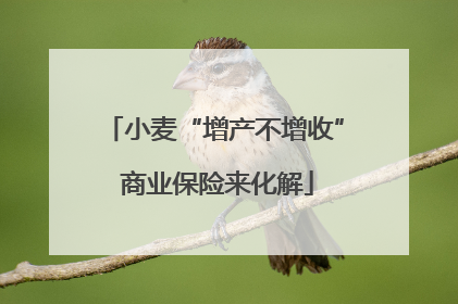 小麦“增产不增收” 商业保险来化解