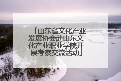 山东省文化产业发展协会赴山东文化产业职业学院开展考察交流活动