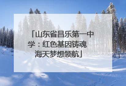 山东省昌乐第一中学：红色基因铸魂 海天梦想领航