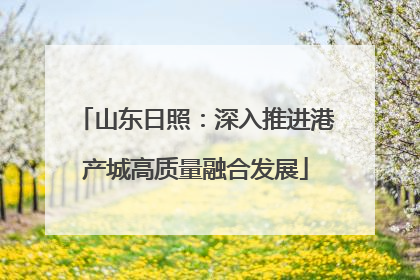山东日照：深入推进港产城高质量融合发展