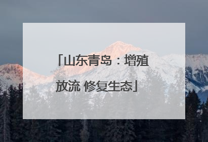 山东青岛：增殖放流 修复生态
