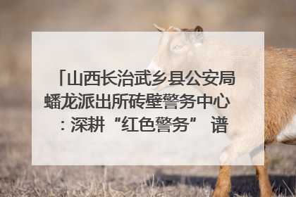 山西长治武乡县公安局蟠龙派出所砖壁警务中心：深耕“红色警务” 谱写“平安答卷”