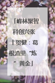 峰林聚智 科创兴张丨贺健：葛根渣里“炼”黄金