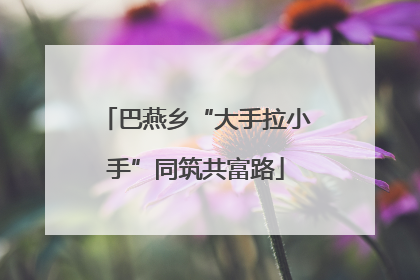 巴燕乡“大手拉小手”同筑共富路
