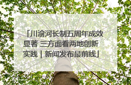 川渝河长制五周年成效显著 三方面看两地创新实践｜新闻发布最前线