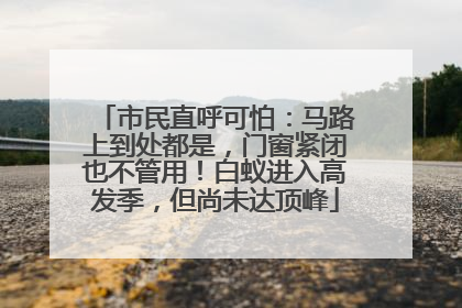 市民直呼可怕：马路上到处都是，门窗紧闭也不管用！白蚁进入高发季，但尚未达顶峰