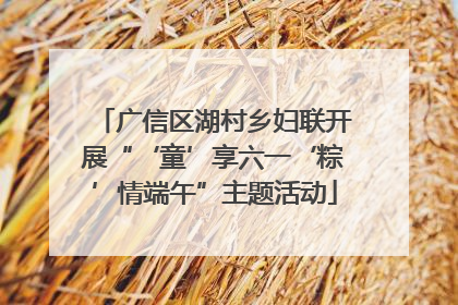 广信区湖村乡妇联开展“‘童’享六一‘粽’情端午”主题活动