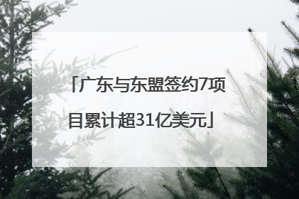 广东与东盟签约7项目累计超31亿美元