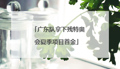 广东队拿下残特奥会夏季项目首金