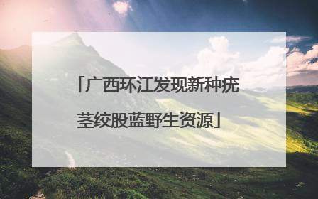 广西环江发现新种疣茎绞股蓝野生资源