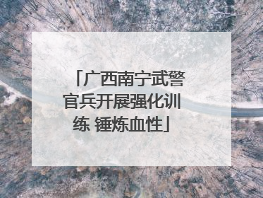 广西南宁武警官兵开展强化训练 锤炼血性