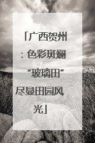 广西贺州：色彩斑斓“玻璃田”尽显田园风光