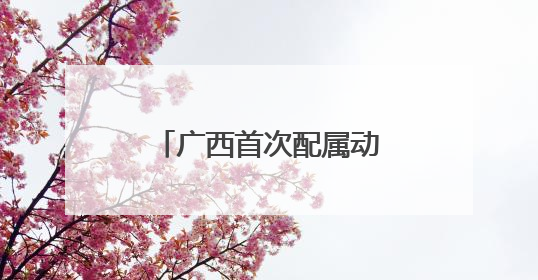 广西首次配属动力集中“复兴号”动车组 南宁至上海省时近6小时
