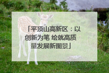 平顶山高新区：以创新为笔 绘就高质量发展新图景