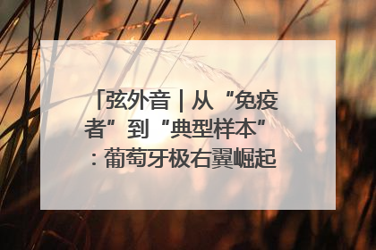 弦外音｜从“免疫者”到“典型样本”：葡萄牙极右翼崛起背后的欧洲困局