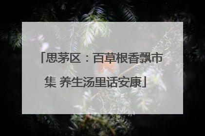 思茅区：百草根香飘市集 养生汤里话安康