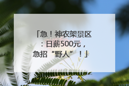 急！神农架景区：日薪500元，急招“野人”！