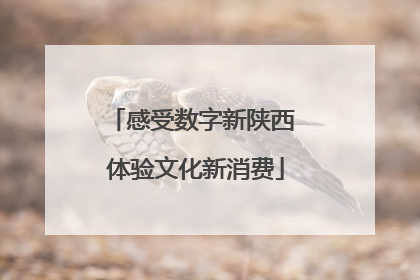 感受数字新陕西 体验文化新消费