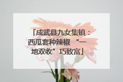 成武县九女集镇：西瓜套种辣椒 “一地双收”巧致富