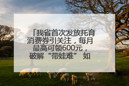 我省首次发放托育消费券引关注，每月最高可领600元，破解“带娃难” 如何不负所“托”？