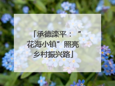 承德滦平：“花海小镇”照亮乡村振兴路