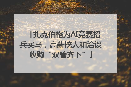扎克伯格为AI竞赛招兵买马，高薪挖人和洽谈收购“双管齐下”