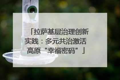 拉萨基层治理创新实践：多元共治激活高原“幸福密码”