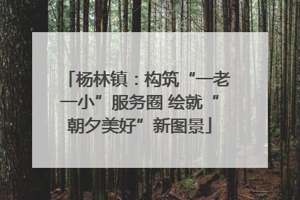 杨林镇：构筑“一老一小”服务圈 绘就“朝夕美好”新图景