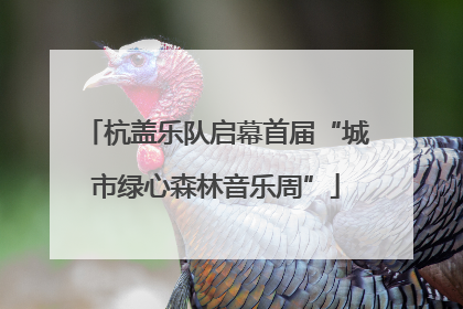 杭盖乐队启幕首届“城市绿心森林音乐周”