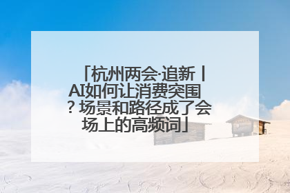 杭州两会·追新丨AI如何让消费突围？场景和路径成了会场上的高频词
