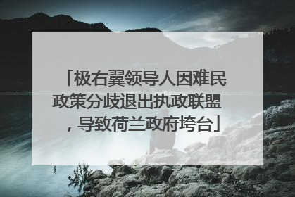 极右翼领导人因难民政策分歧退出执政联盟，导致荷兰政府垮台