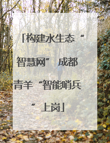 构建水生态“智慧网” 成都青羊“智能哨兵”上岗