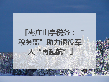枣庄山亭税务：“税务蓝”助力退役军人“再起航”