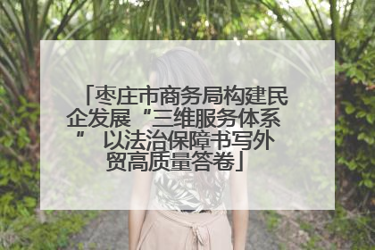 枣庄市商务局构建民企发展“三维服务体系” 以法治保障书写外贸高质量答卷