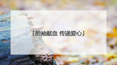 撸袖献血 传递爱心