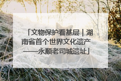 文物保护看基层｜湖南省首个世界文化遗产——永顺老司城遗址